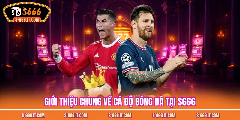 Giới thiệu chung về cá độ bóng đá tại S666