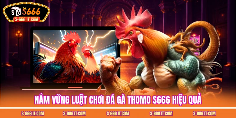 Nắm vững luật chơi đá gà thomo S666 hiệu quả