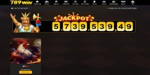 Tham gia sảnh chơi đá gà tại 789win cần phải có kinh nghiệm
