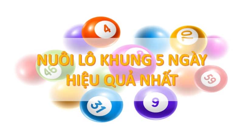 Kinh nghiệm và chia sẻ từ những người chơi có kinh nghiệm