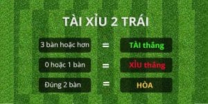 Tài Xỉu 2 Trái Là Gì, Cách Bắt Kèo Cá Độ Bóng Đá Hay Nhất